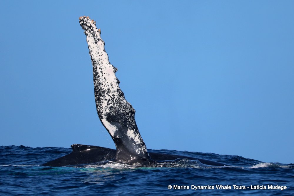 Marine Big 5 Daily Blog 18 August