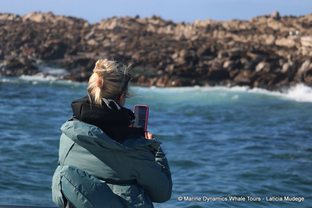 people, whale watching, gansbaai, south africa
