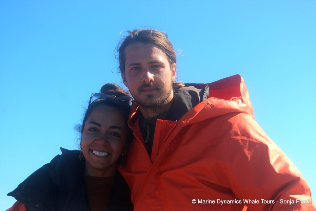 people, whale watching, gansbaai, south africa