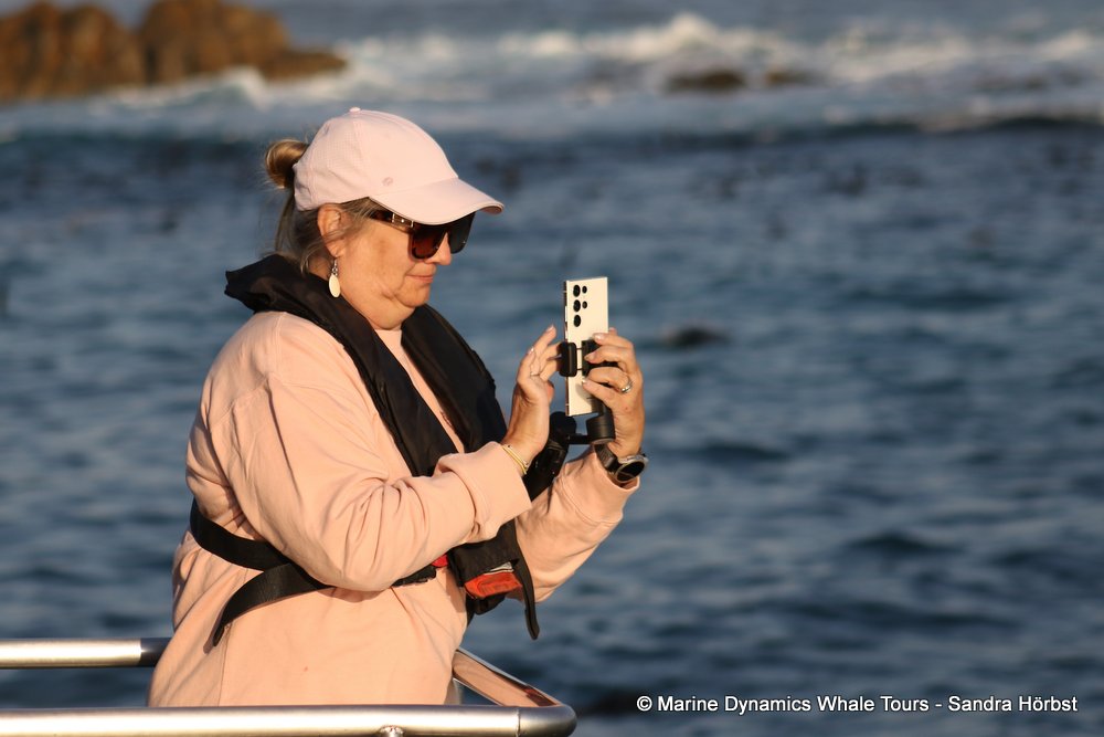 people, whale watching, gansbaai, south africa