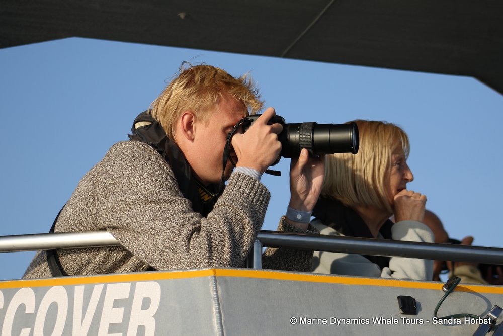 people, whale watching, gansbaai, south africa