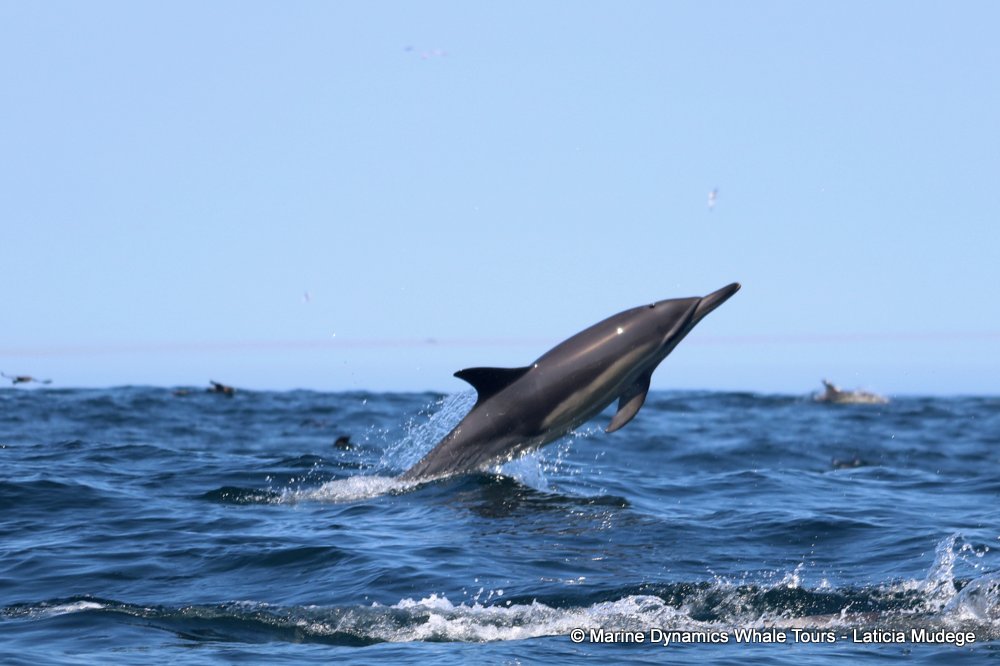 Marine Big 5 Daily Blog 07 September