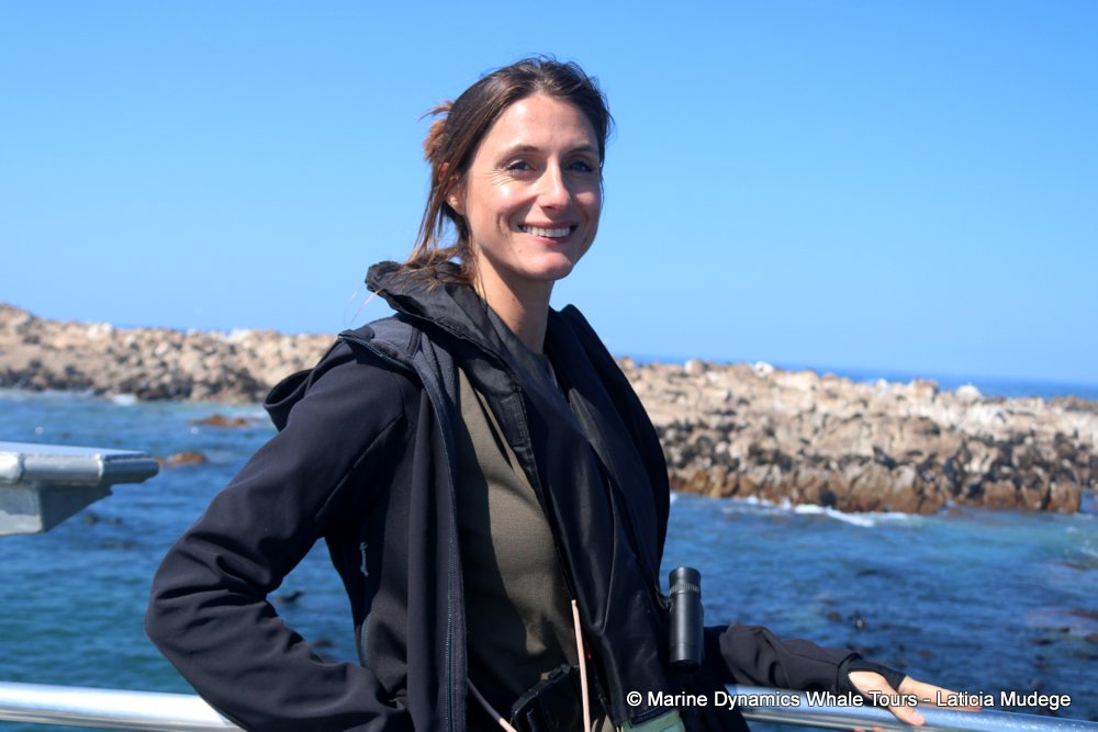 people, whale watching, gansbaai, south africa