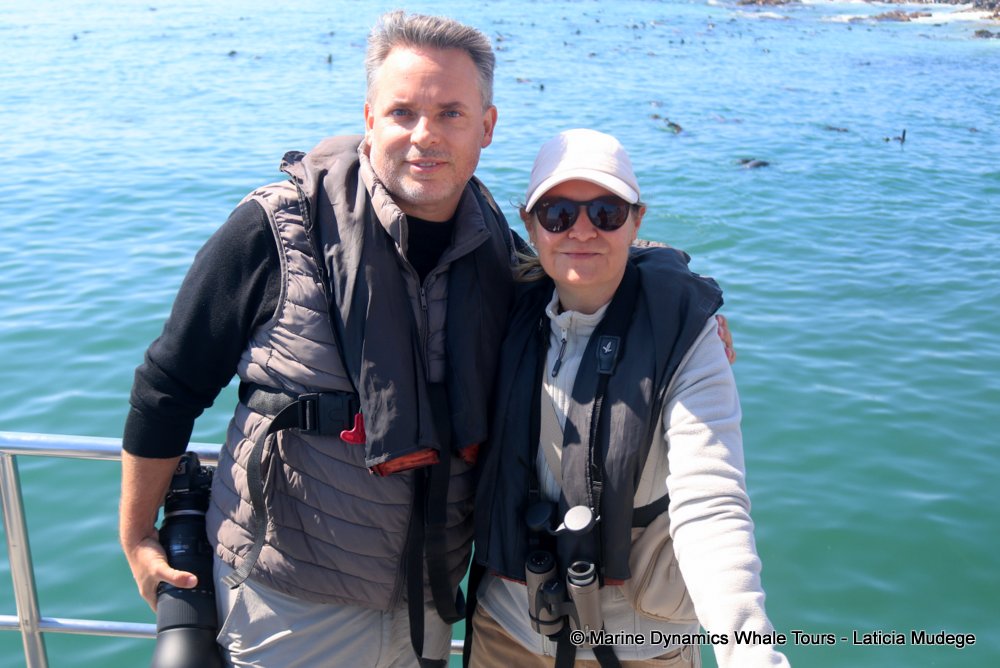 people, whale watching, gansbaai, south africa