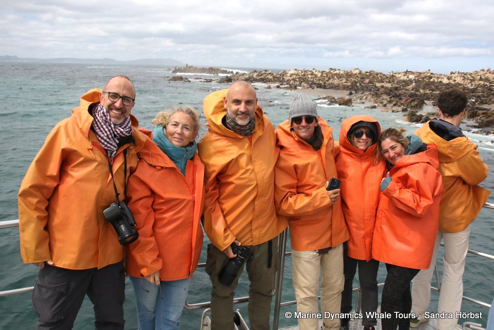 people, whale watching, gansbaai, south africa