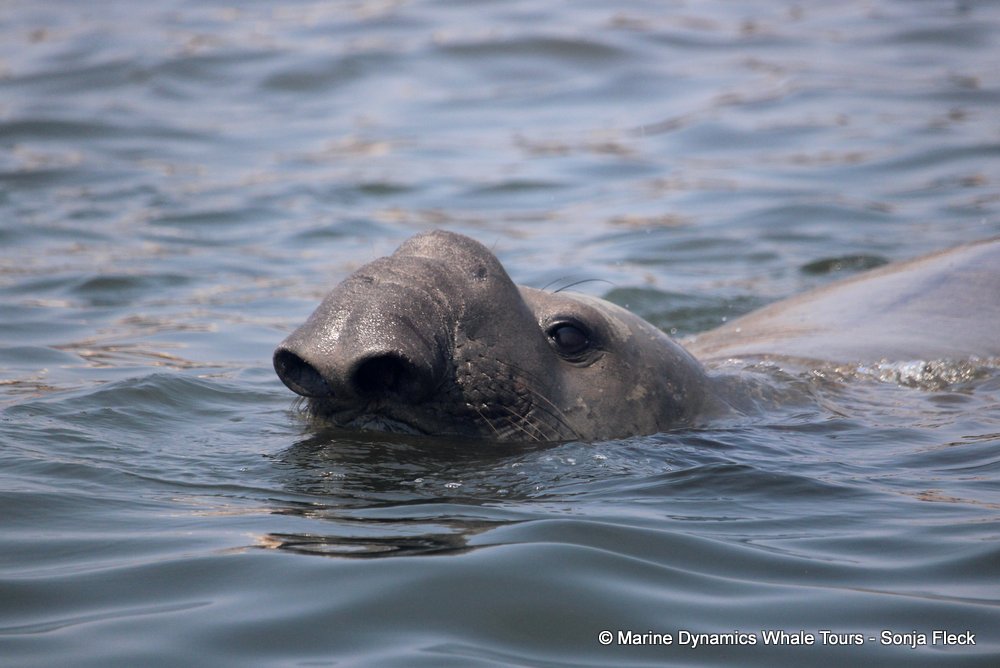 Marine Big 5 Daily Blog 22 September