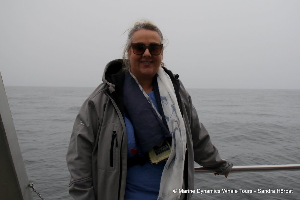 people, whale watching, gansbaai, south africa