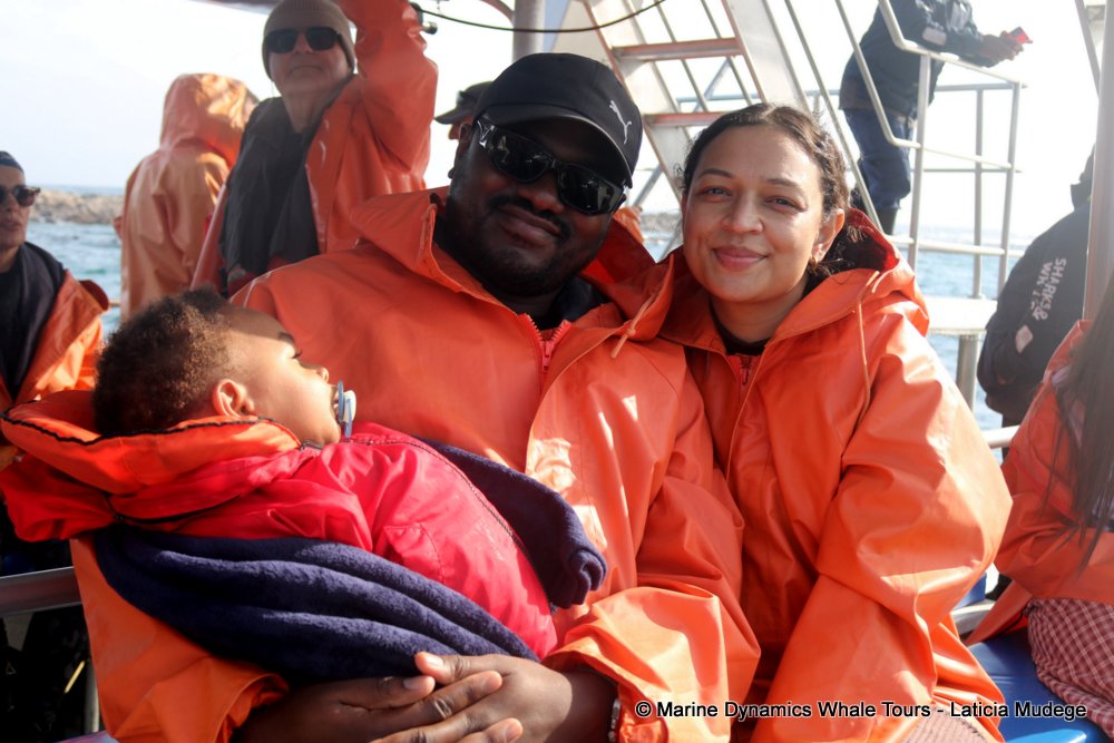 people, whale watching, gansbaai, south africa,