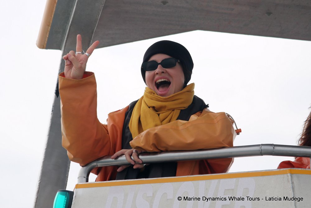 people, whale watching, gansbaai, south africa