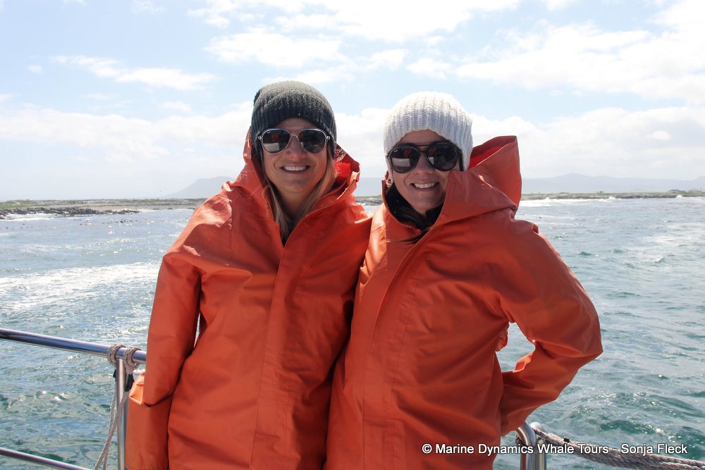 whale watching, gansbaai, south africa