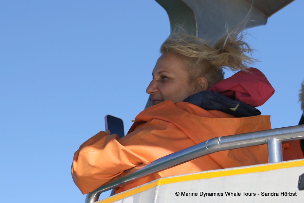 person, whale watching, gansbaai, south africa,