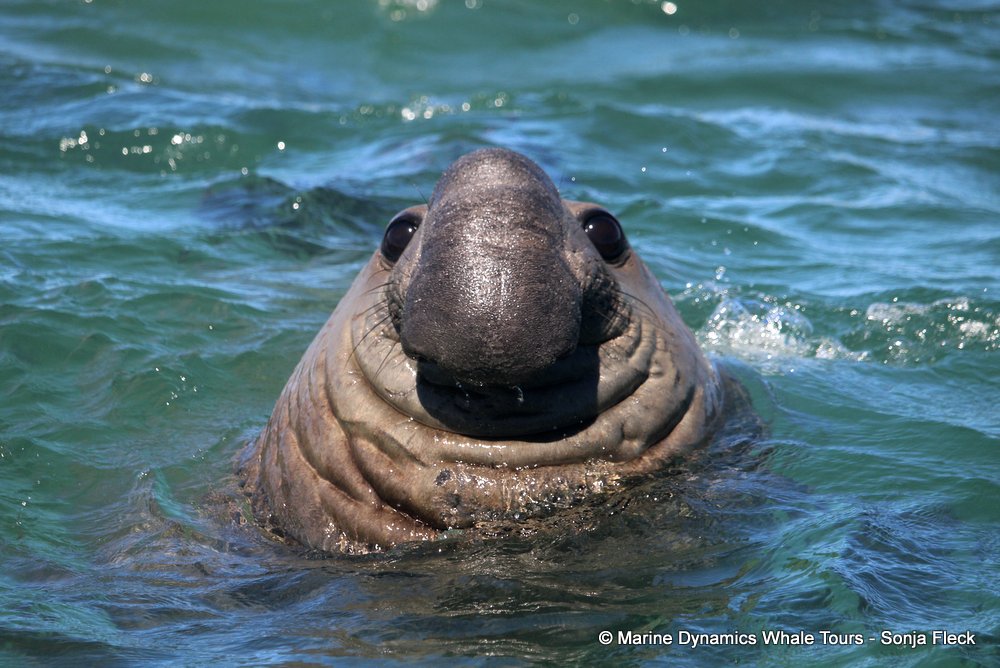 Marine Big 5 Daily Blog 04 October