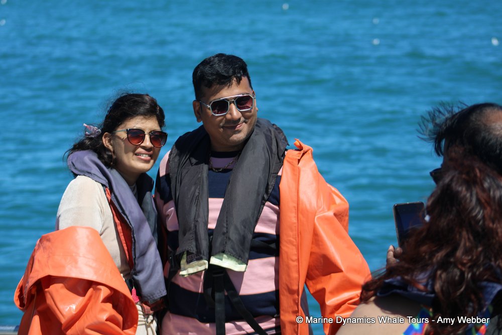 people, whale watching, gansbaai, south africa