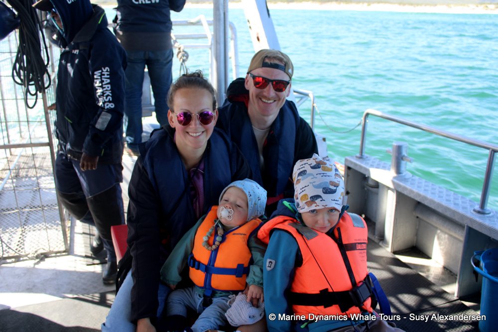 whale watching, gansbaai, south africa