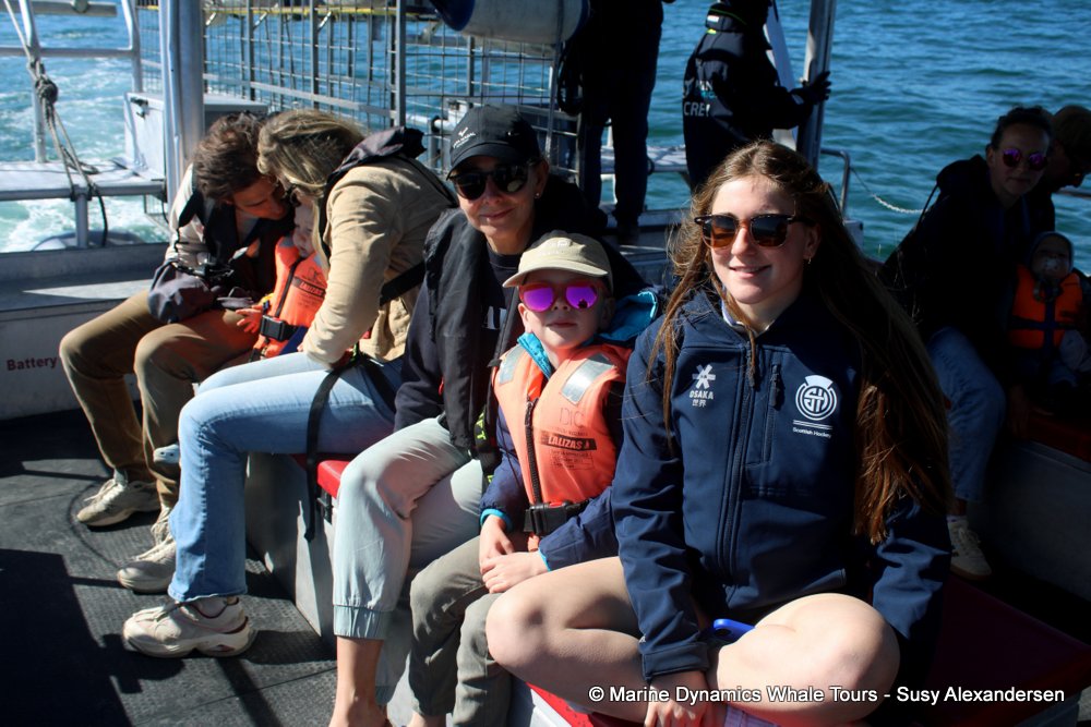 whale watching, gansbaai, south africa