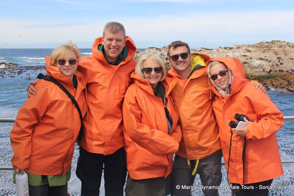 whale watching, gansbaai, south africa