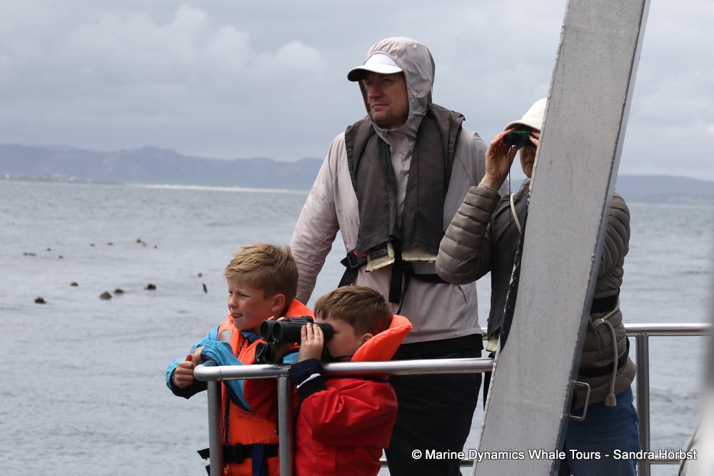 people, whale watching, gansbaai, south africa