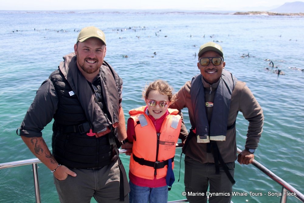 whale watching, gansbaai, south africa,