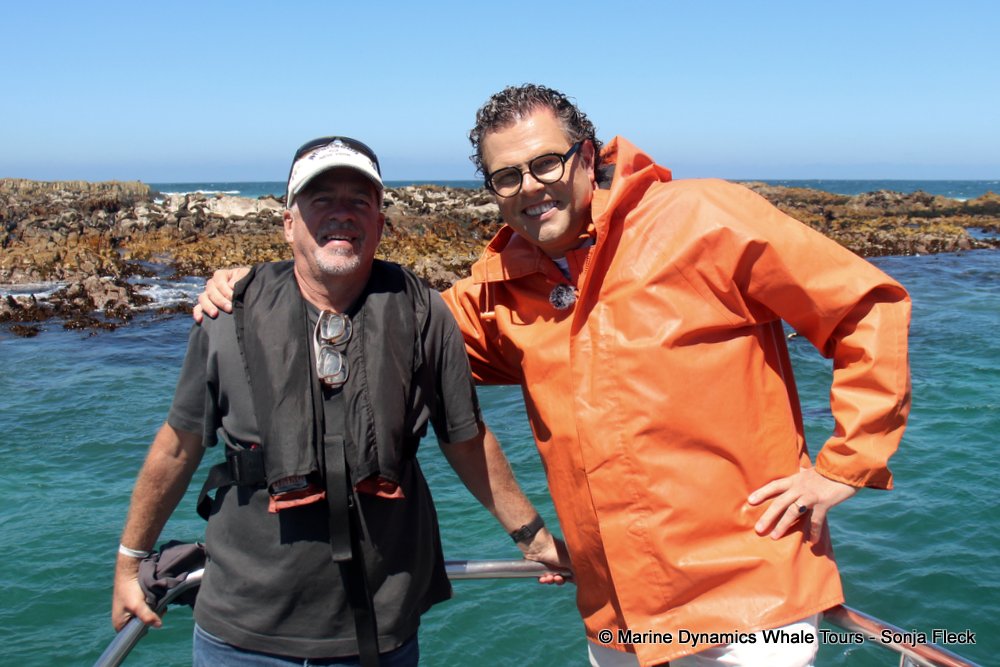 whale watching, gansbaai, south africa,